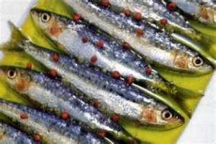 Sardine Al Basilico