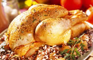 ricette pollo ricette pollo